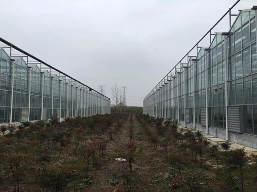 案例-31