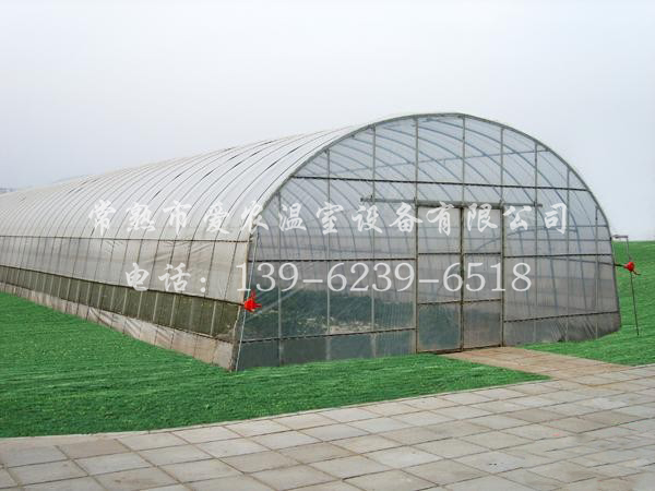 67